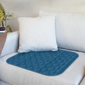 Chairpad Blue